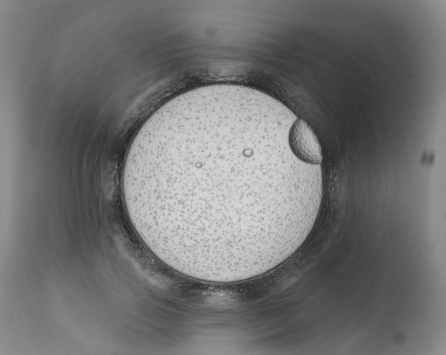 X0000112540741200909141311