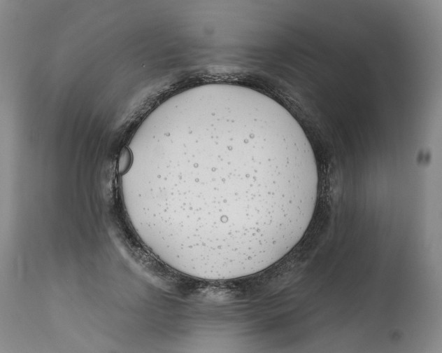 X0000112540742200909141311