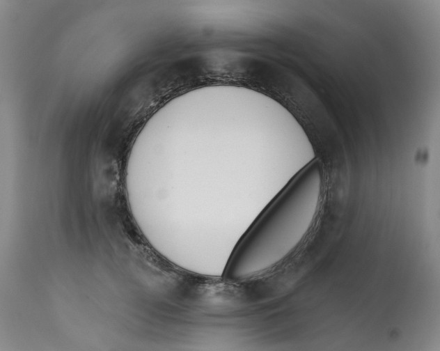 X0000112540752200909141312