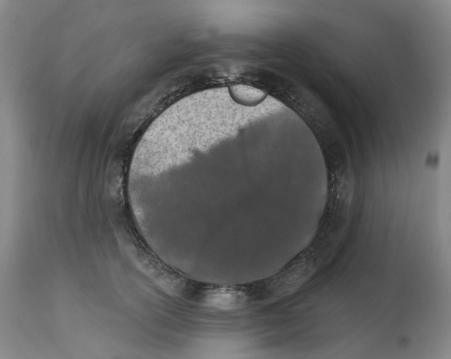 X0000112540754200909141312