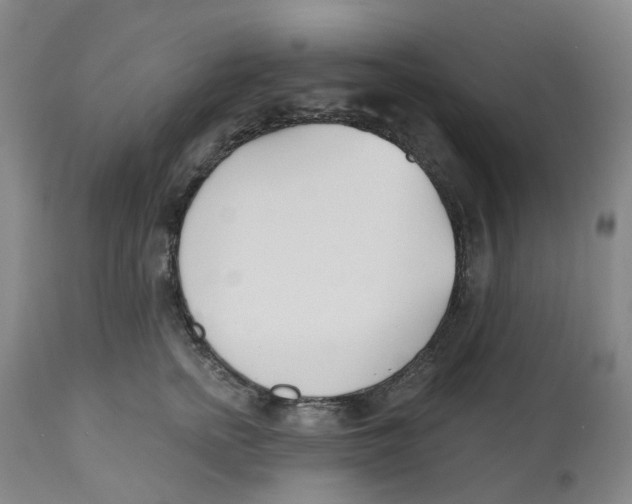 X0000112540758200909141312