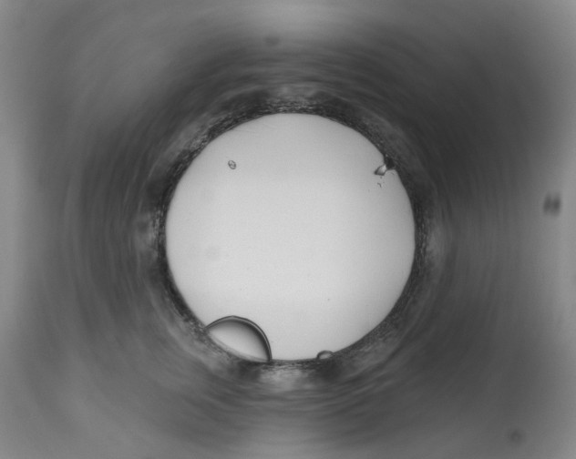 X0000112540759200909141312