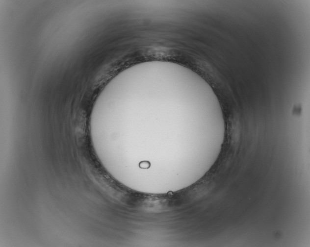 X0000112540760200909141312