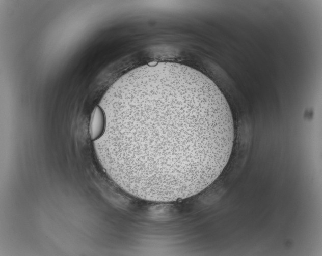 X0000112540761200909141312
