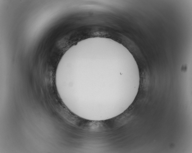 X0000112540762200909141312