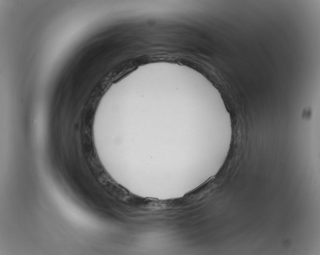 X0000112540764200909141312