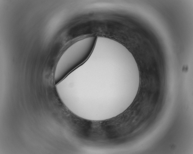 X0000112540766200909141312