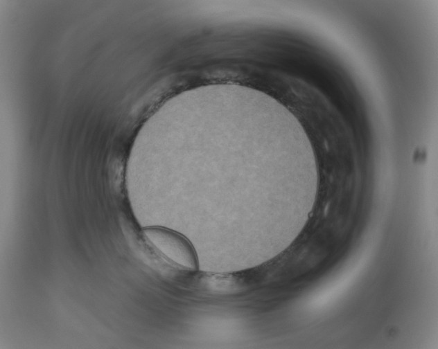 X0000112540767200909141312