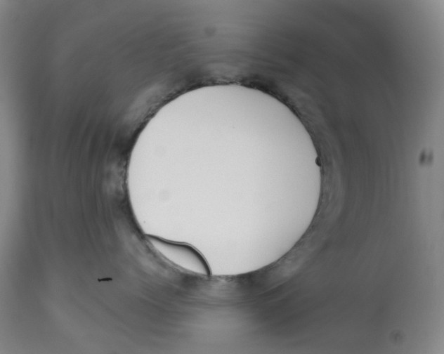 X0000112540768200909141312