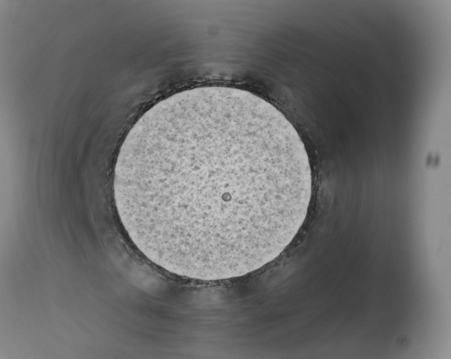 X0000112540769200909141311
