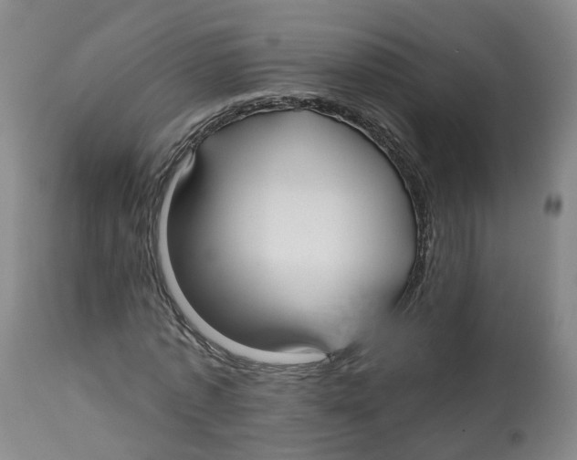 X0000112540773200909141311