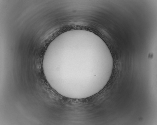 X0000112540774200909141311