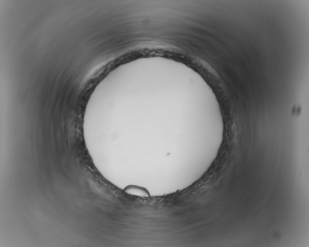 X0000112540775200909141311