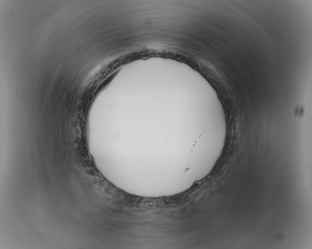 X0000112540776200909141311