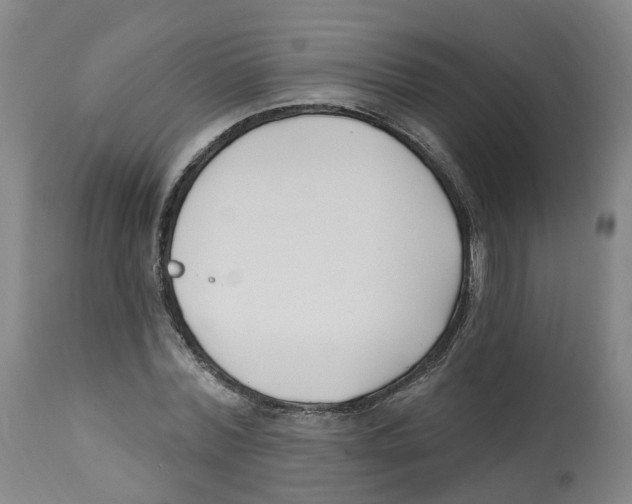 X0000112540780200909141311