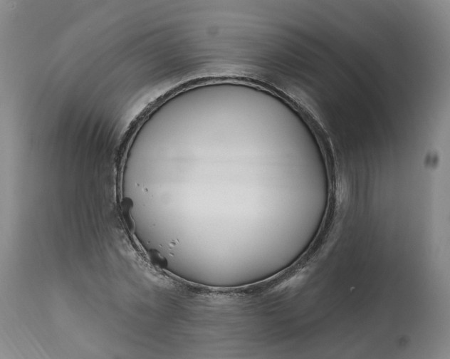 X0000112540781200909141311