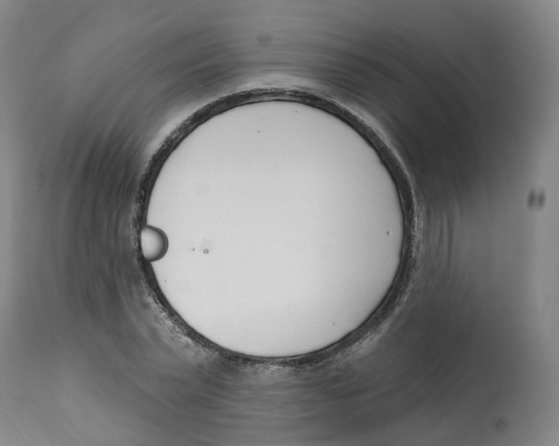 X0000112540783200909141311