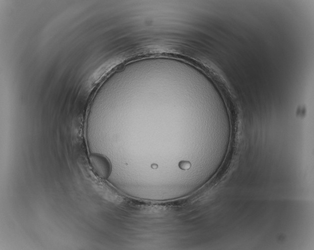 X0000112540785200909141311