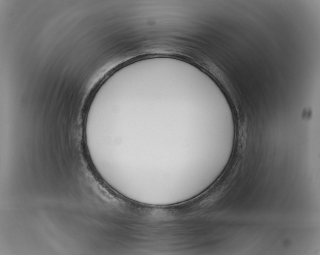 X0000112540787200909141311