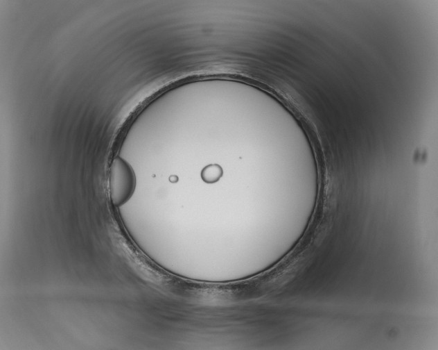 X0000112540789200909141311