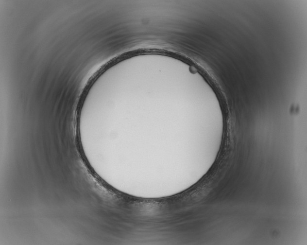 X0000112540791200909141311