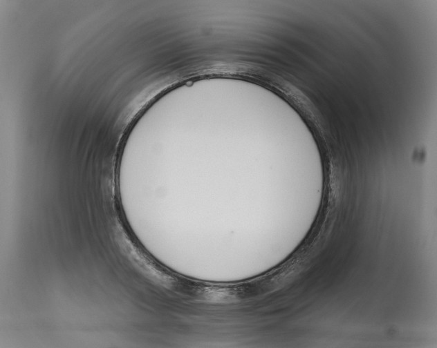 X0000112540794200909141311