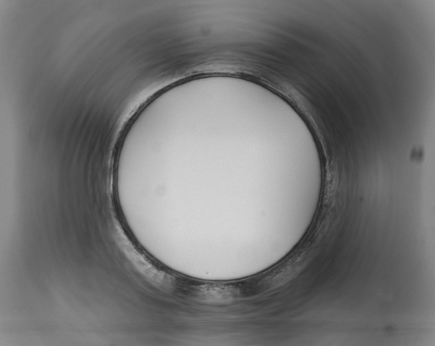 X0000112540795200909141311