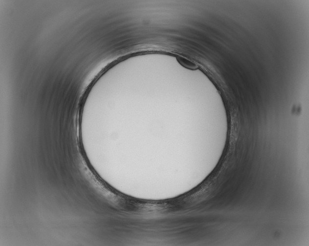 X0000112540796200909141311