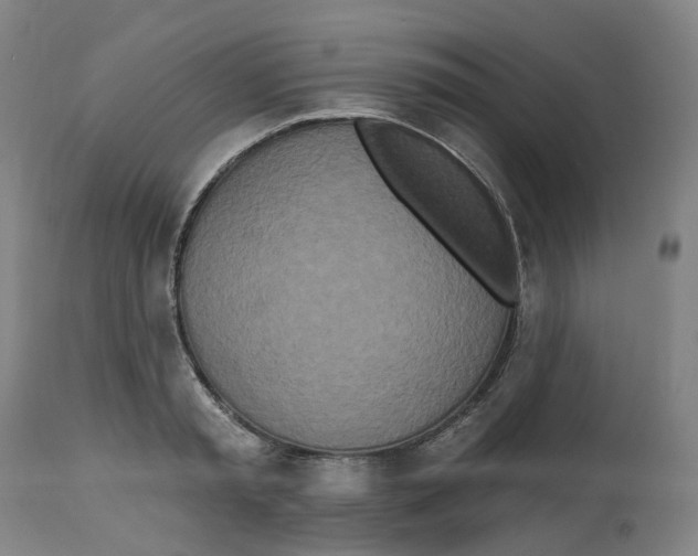 X0000112540797200909141311
