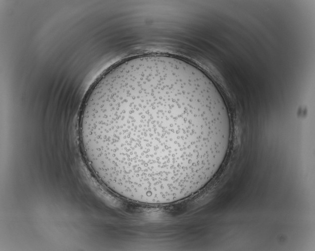 X0000112540798200909141311