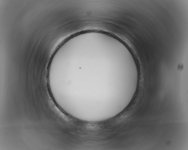 X0000112540799200909141311