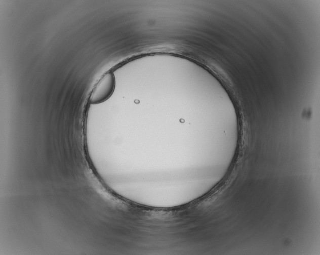 X0000112540800200909141311