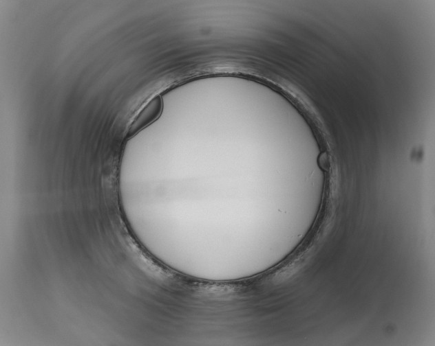 X0000112540801200909141311