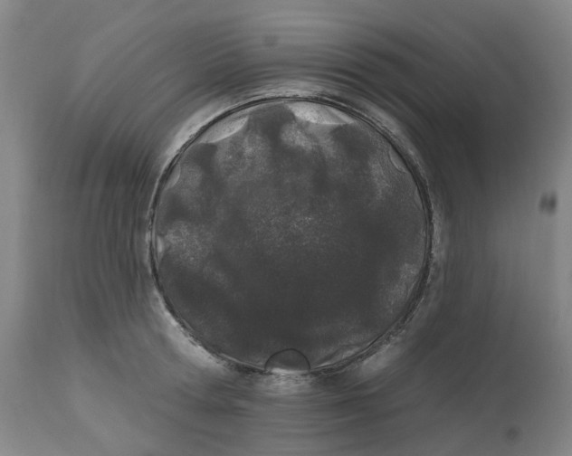 X0000112540802200909141311