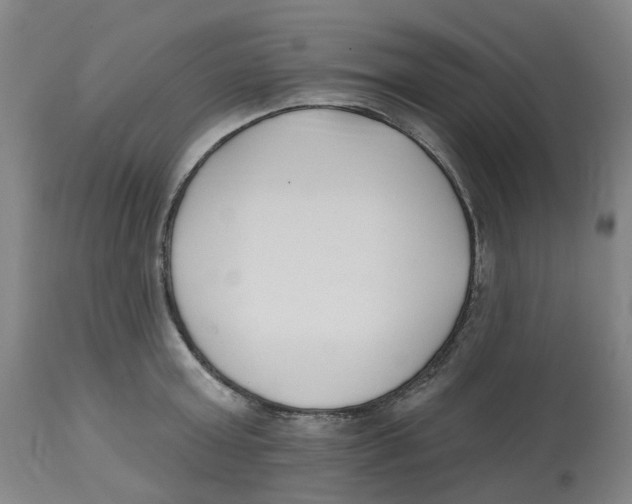 X0000112540803200909141310