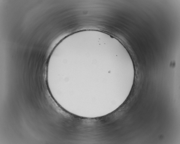 X0000112540804200909141310