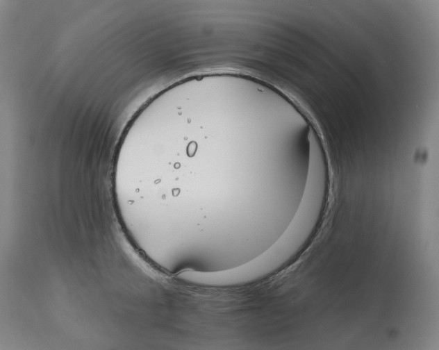 X0000112540805200909141310