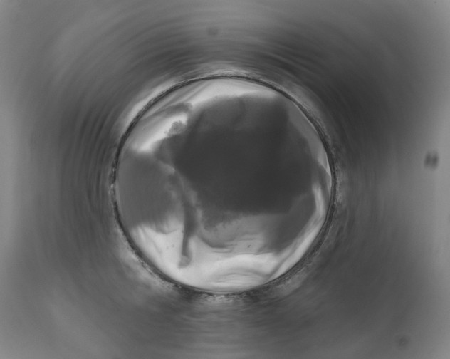 X0000112540806200909141310