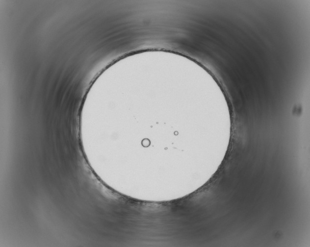 X0000112540807200909141310