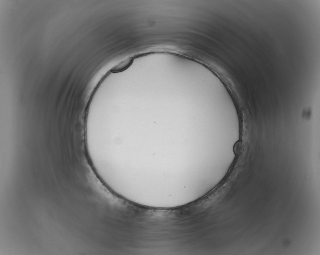 X0000112540808200909141310