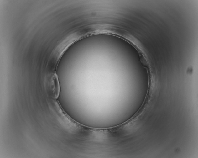 X0000112540809200909141310