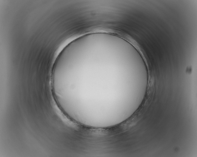 X0000112540811200909141310