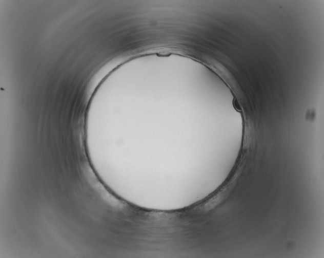 X0000112540812200909141310
