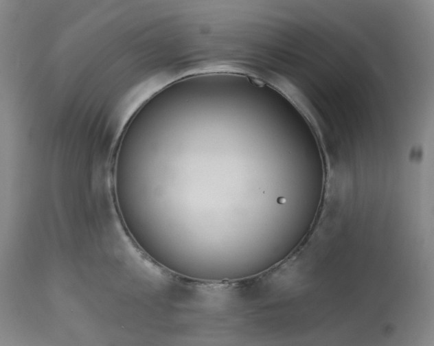 X0000112540813200909141310