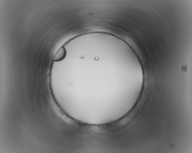 X0000112540814200909141310