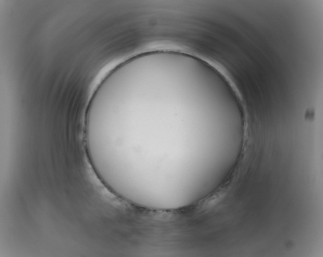X0000112540815200909141310