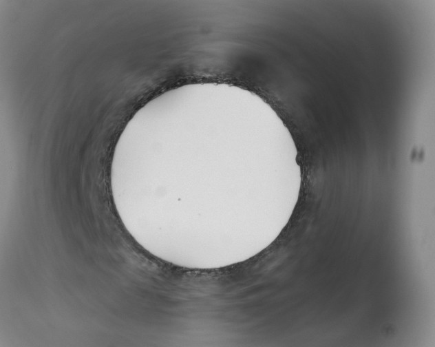 X0000112540817200909141310