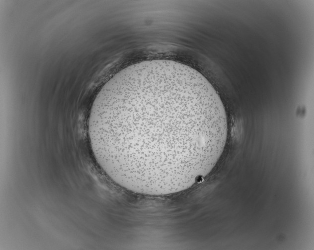 X0000112540819200909141310