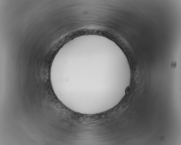X0000112540821200909141310