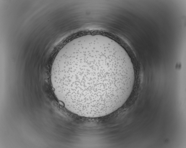X0000112540823200909141310
